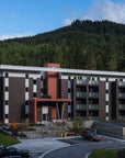 THE HEMLOCKS
