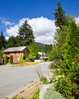 BARNFIELD