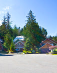 BARNFIELD