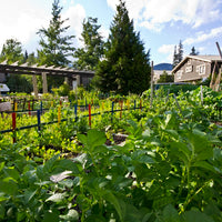 SPRUCE GROVE TOWN HOUSES