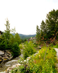 BEAVER FLATS