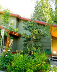 LORIMER COURT