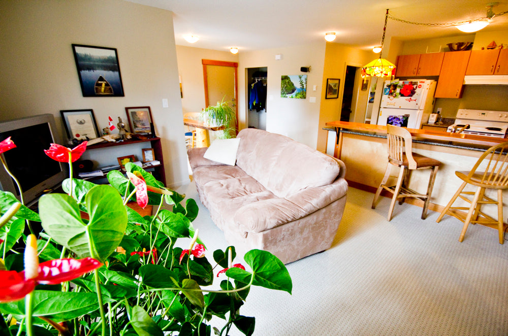 NITA LAKE RENTAL