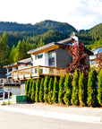 RAINBOW SINGLE FAMILY HOMES