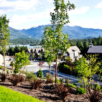 RAINBOW SINGLE FAMILY HOMES