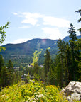 NITA LAKE RENTAL